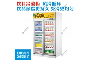 双门饮料冷藏柜是，立式风冷展示柜定制，超市冷藏保鲜冰柜厂家