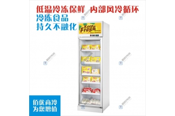 立式冷冻展示柜，单门冷冻展示柜，冷冻展示柜冰箱